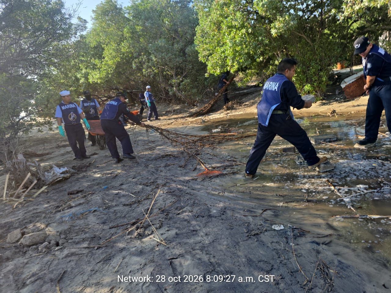 Personal naval arrastra ramas y usa una carretilla para limpiar una zona con manglar junto al agua